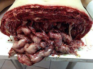 Пластический грим. Пётр Горшенин.