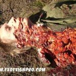 Портретные (точные копии) муляжи частей тела. Портретные (точные копии) муляжи частей тела.