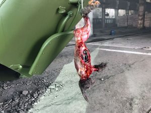 Пластический грим. Пётр Горшенин.
